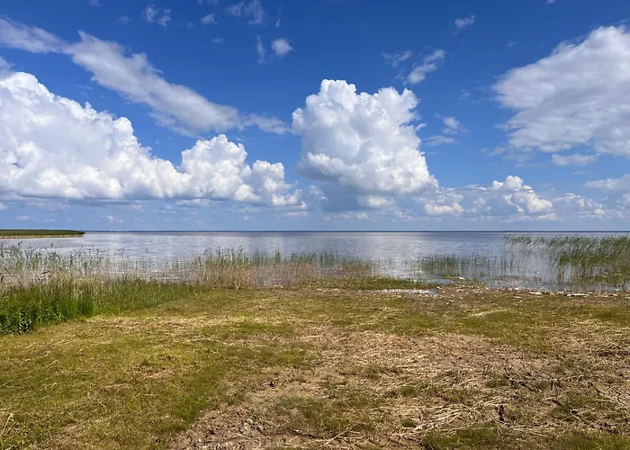 Suure-kuuse Kaempingud Otse Jaerve Kaldal مكان تخييم *